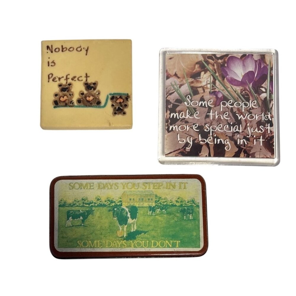 Refrigerator Magnets Inspirational Lot of 3 Some Days You Step In It Vintage